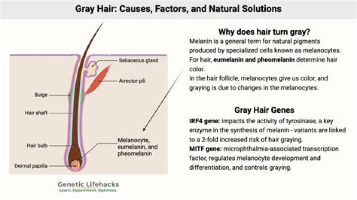 Does hair gel cause GREY hair?