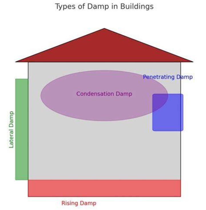 How common is damp in UK houses?