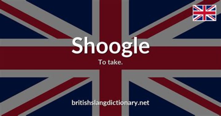 What does Shoogle mean in English?