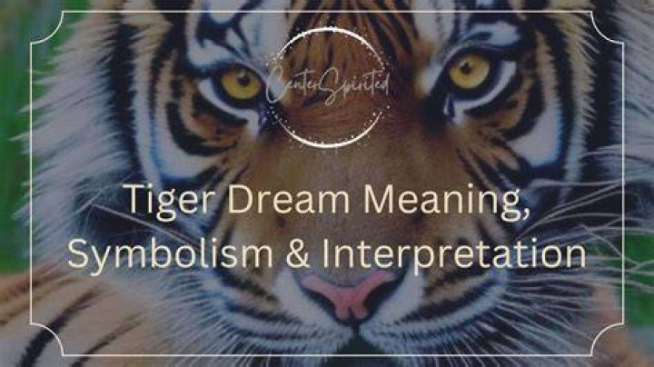 What does Tiger Cub mean in Goh?