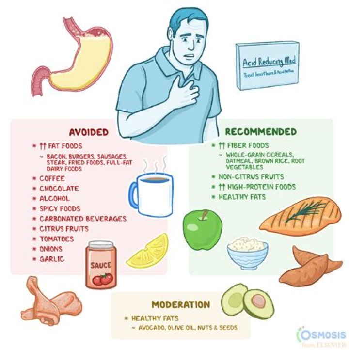 What foods absorb stomach acid?