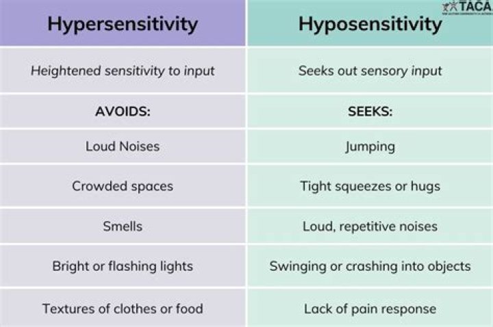 What is hypersensitivity in autism?