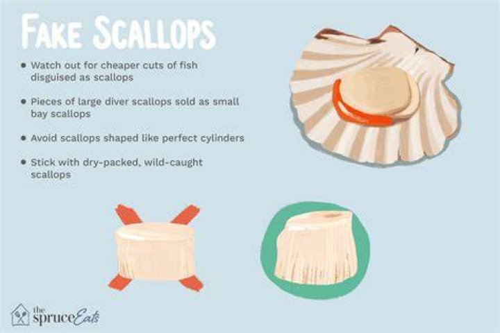 What percentage of scallops are fake?