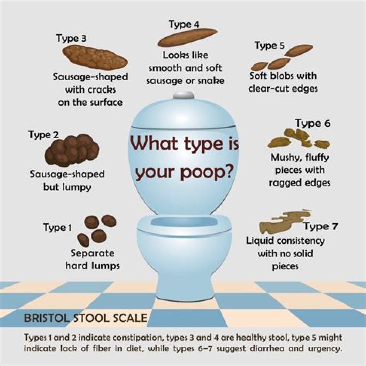 Why does my boyfriend take so long to poo?